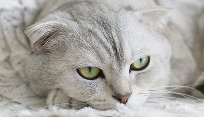 爱游戏中国电竞-绝地求生 选手训练强度持续加大，绝地求生训练手雷在哪里